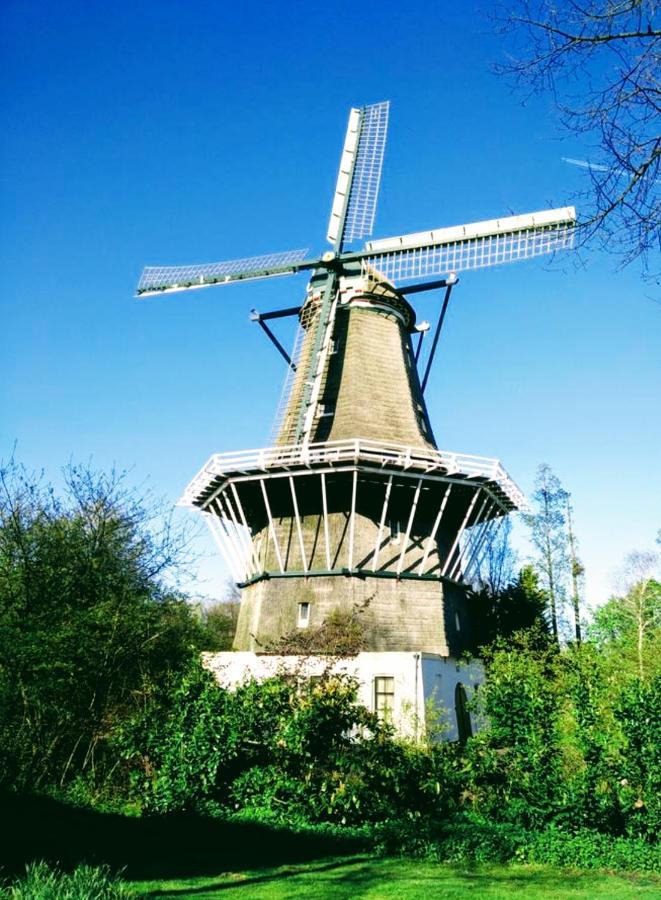 H 58 Lägenhet Amsterdam Exteriör bild